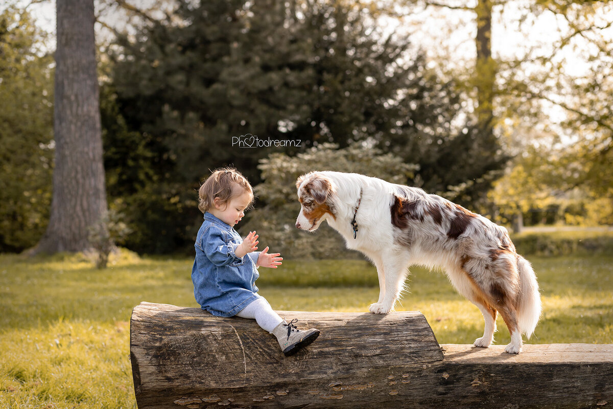fotoshoot-limburg-honden22