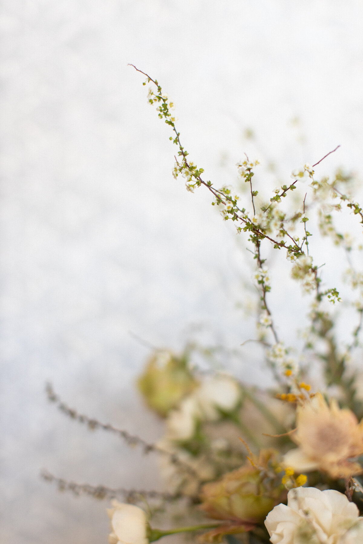 With Grace and Gold - Showit Website Template, Showit Theme, Showit Themes, Showit Template, Showit Templates, Best Showit Templates, Best Showit Designer - Photo -21