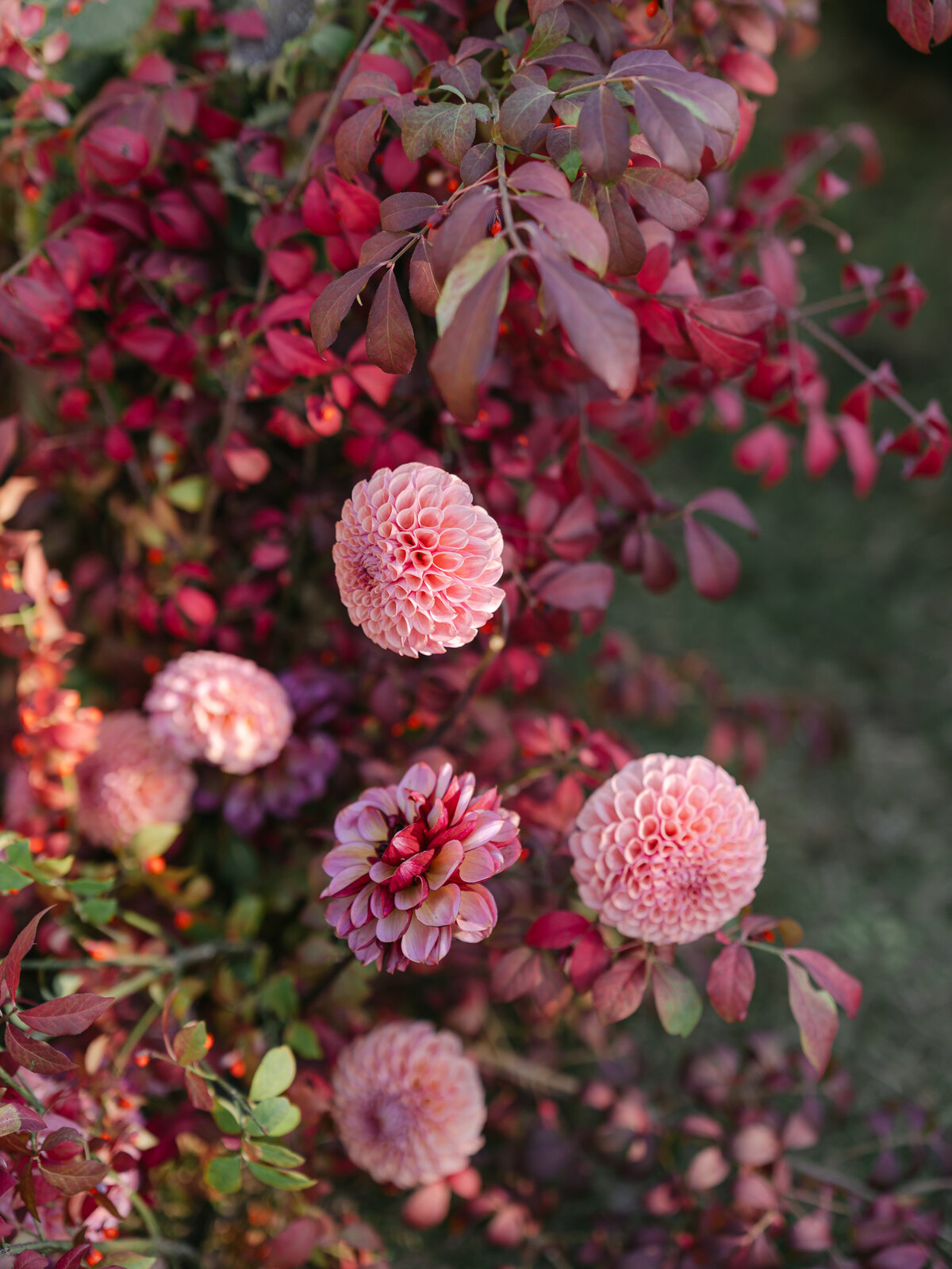 bend-portland-oregon-wedding-photographer-19