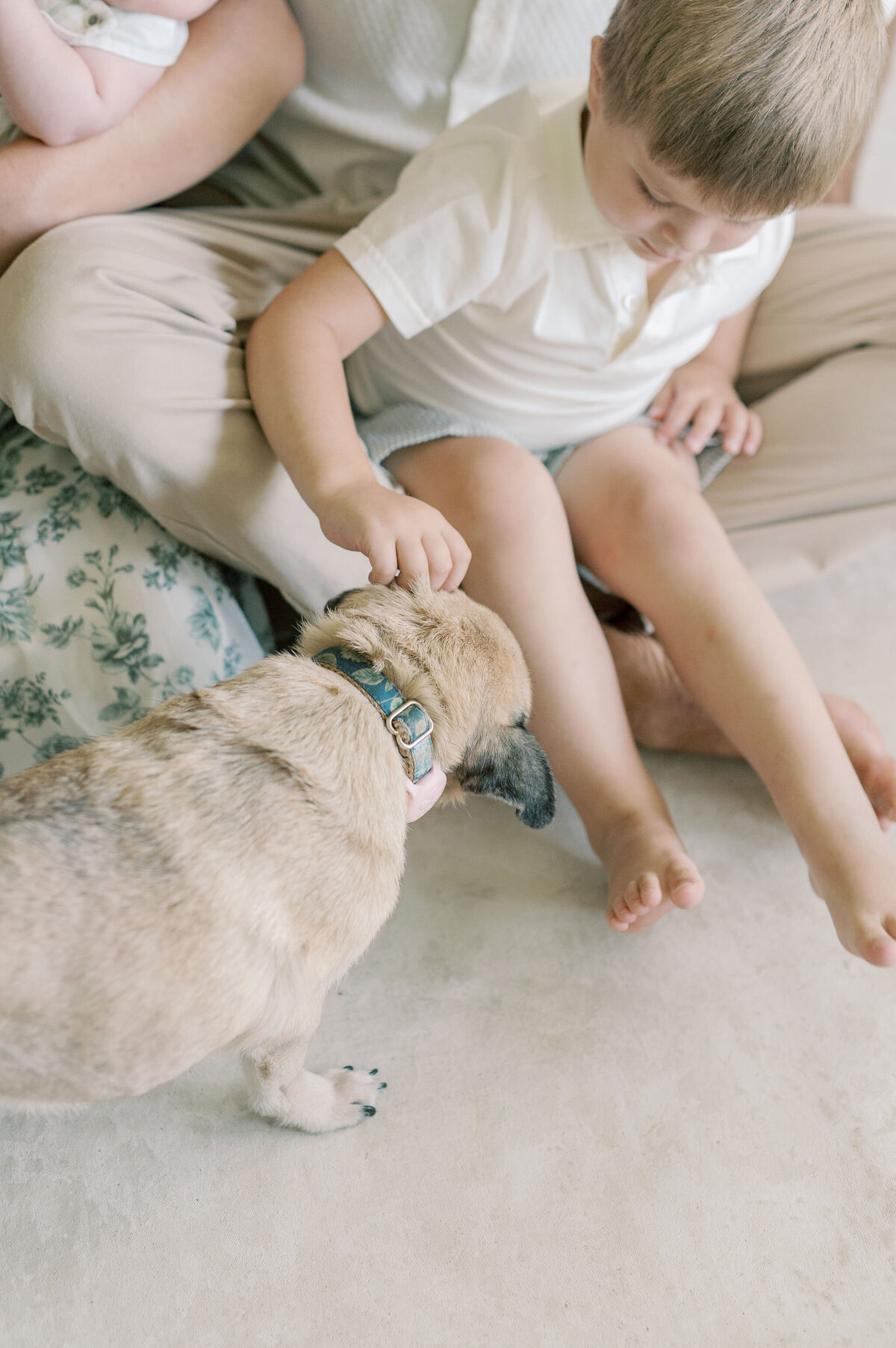 NobleFamily-2