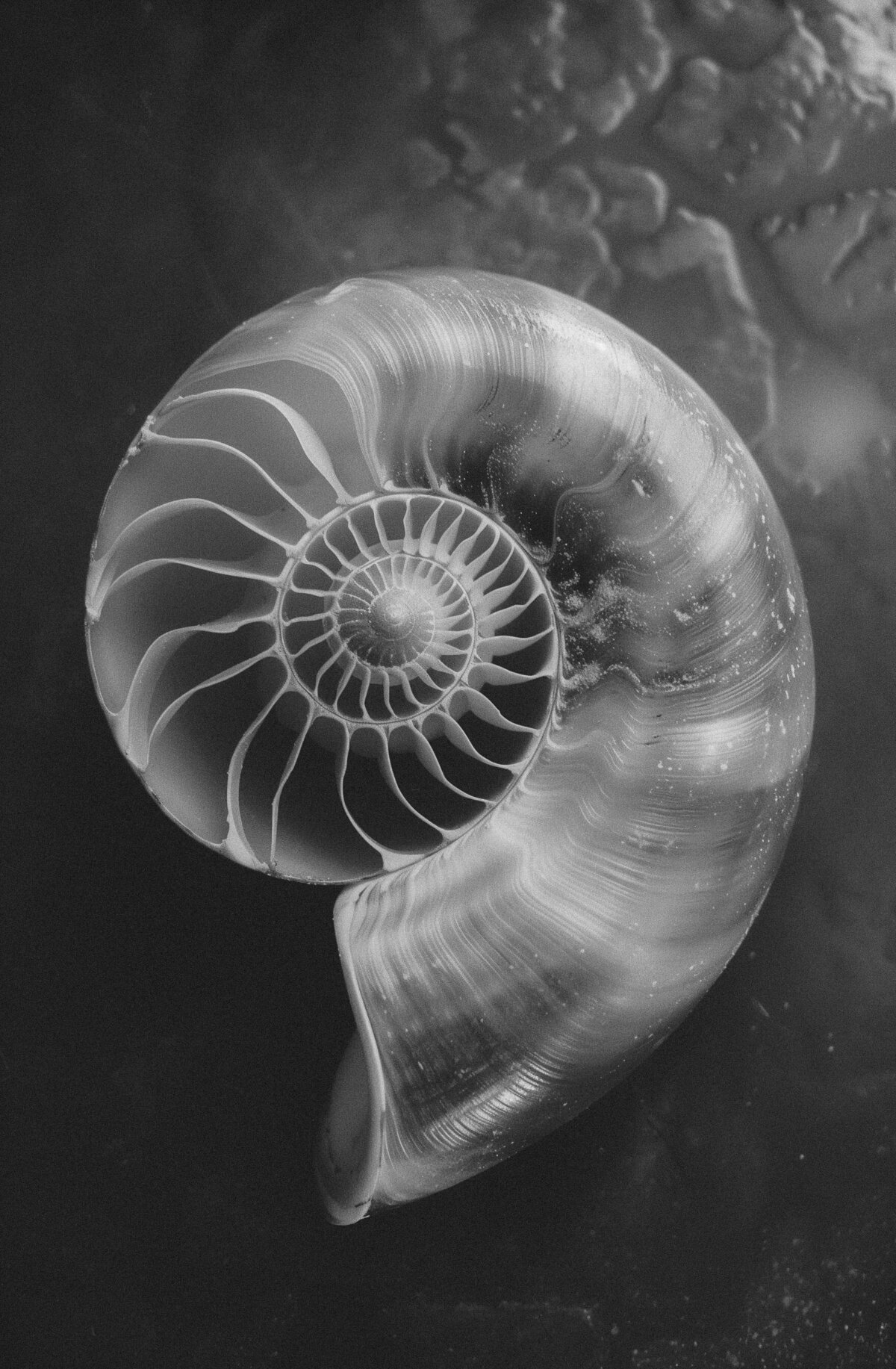 0a76aa69-3702-4ba3-bab2-16316291e04f