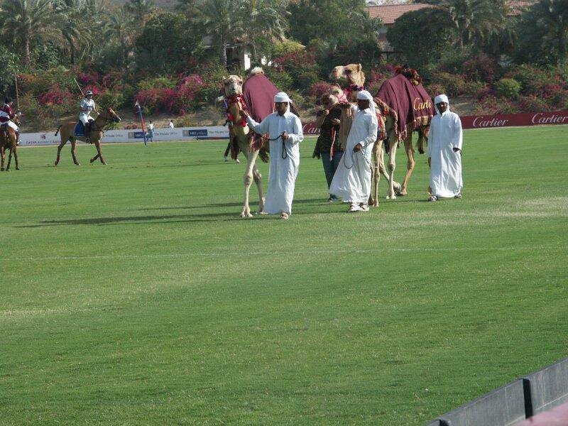 Polo
