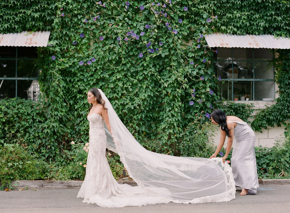 Meant2BeeEvents-NapaWedding (20)