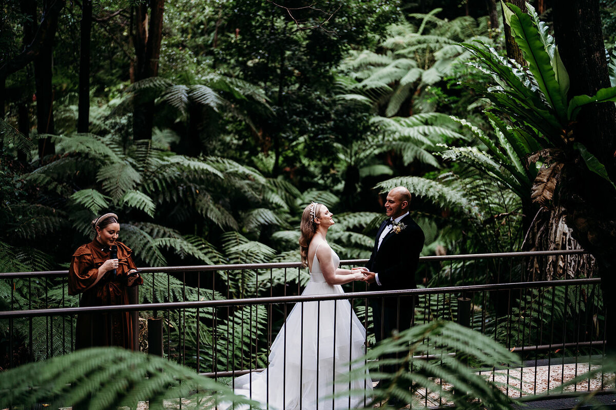 Margan_Photography_Australian_National_Botanic_Gardens-78