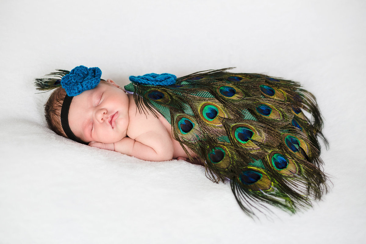 newborn-baby-girl-SHphotography-2