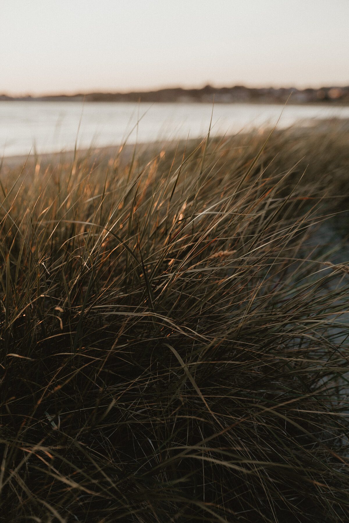 brollopsfotograf-varberg-90