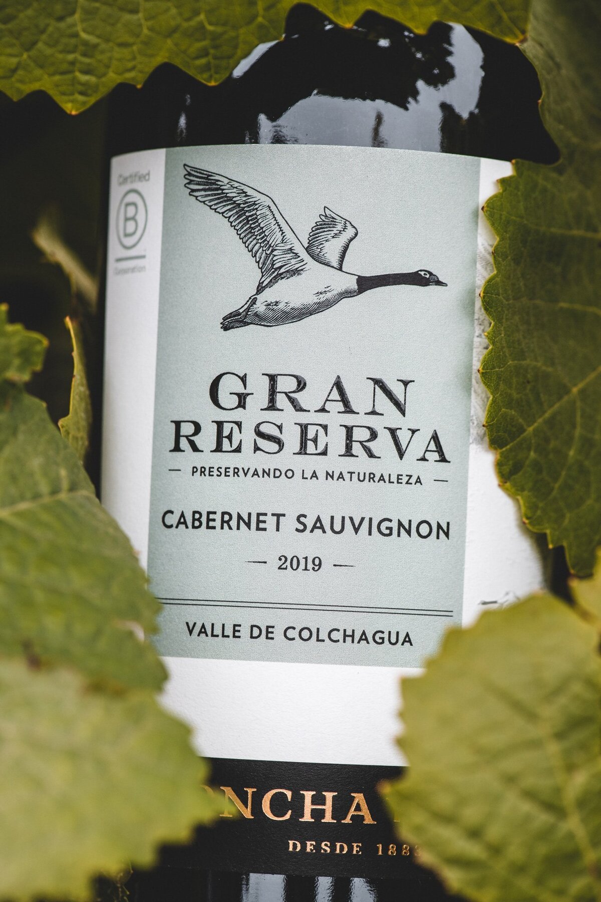Gran-Reserva-12