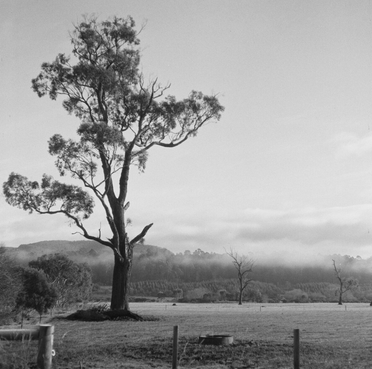 sydney-wedding-film-photographer-75