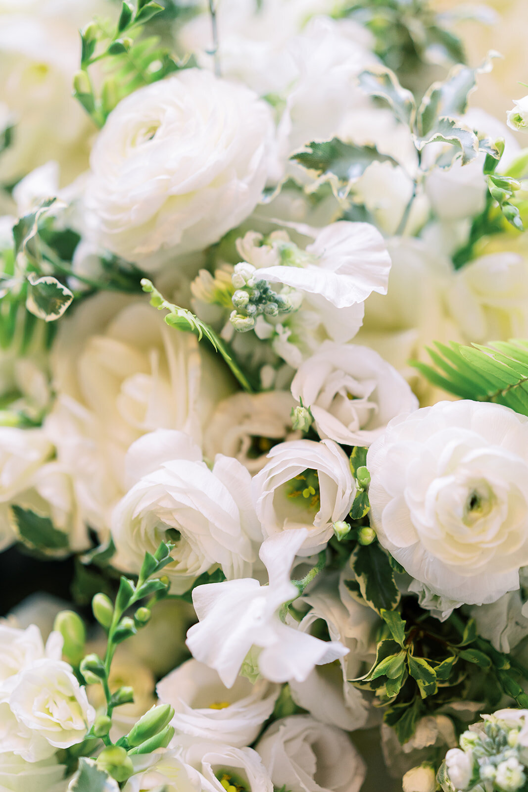 Brittany Bekas - Katie + Gavin's Wedding 2025-426