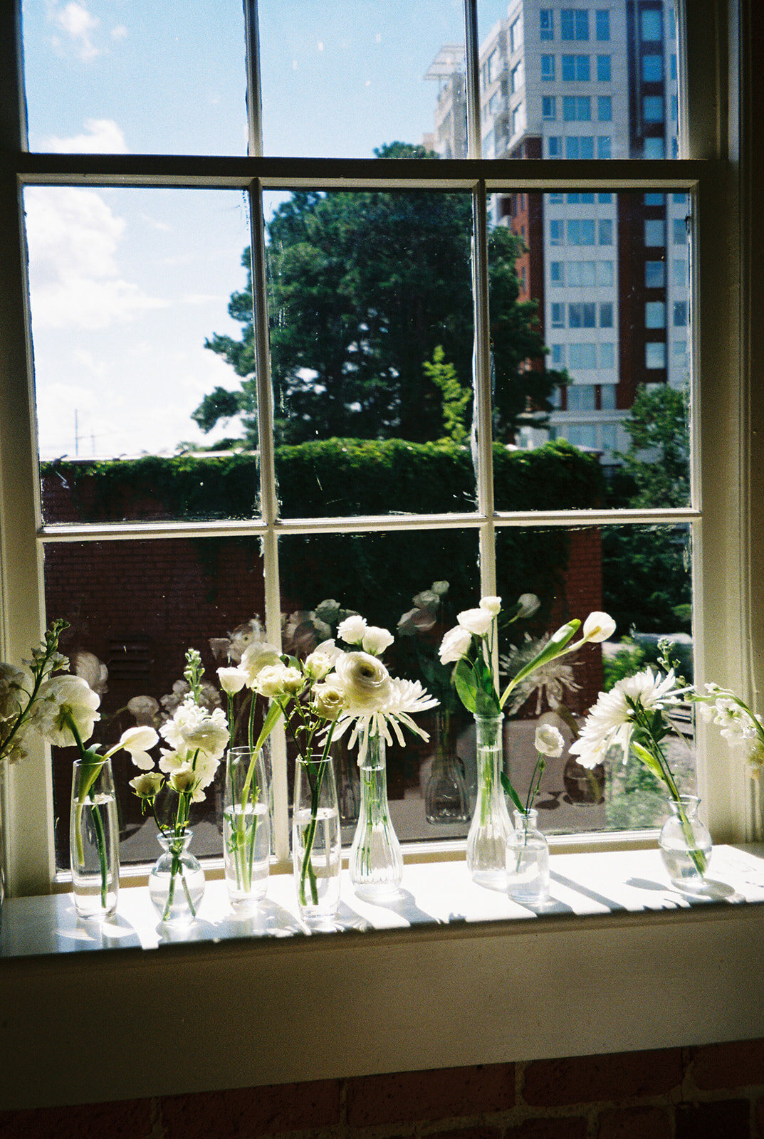 Laura Memory Photography-13 (2)