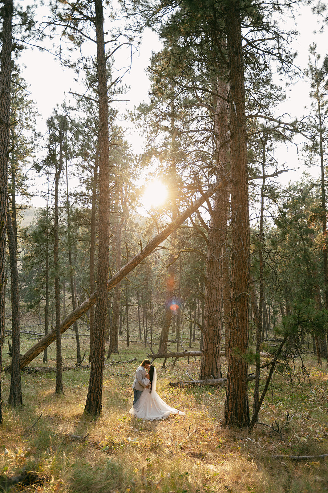 presley-gray-photo-wild-horse-montana-elopement-8994