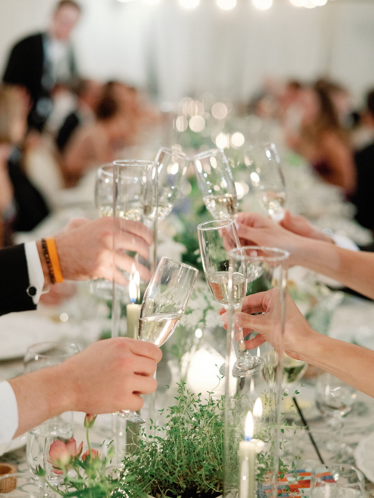 971Madison_Henry_WeddingMCP_4053