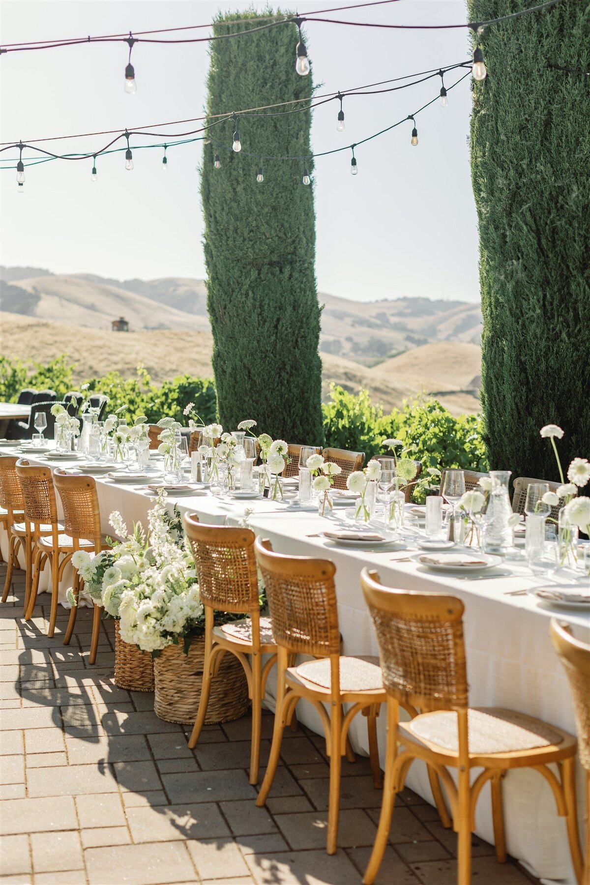 viansa-wedding-sonoma-emma-taylor-ashley-carlascio-photography-0989