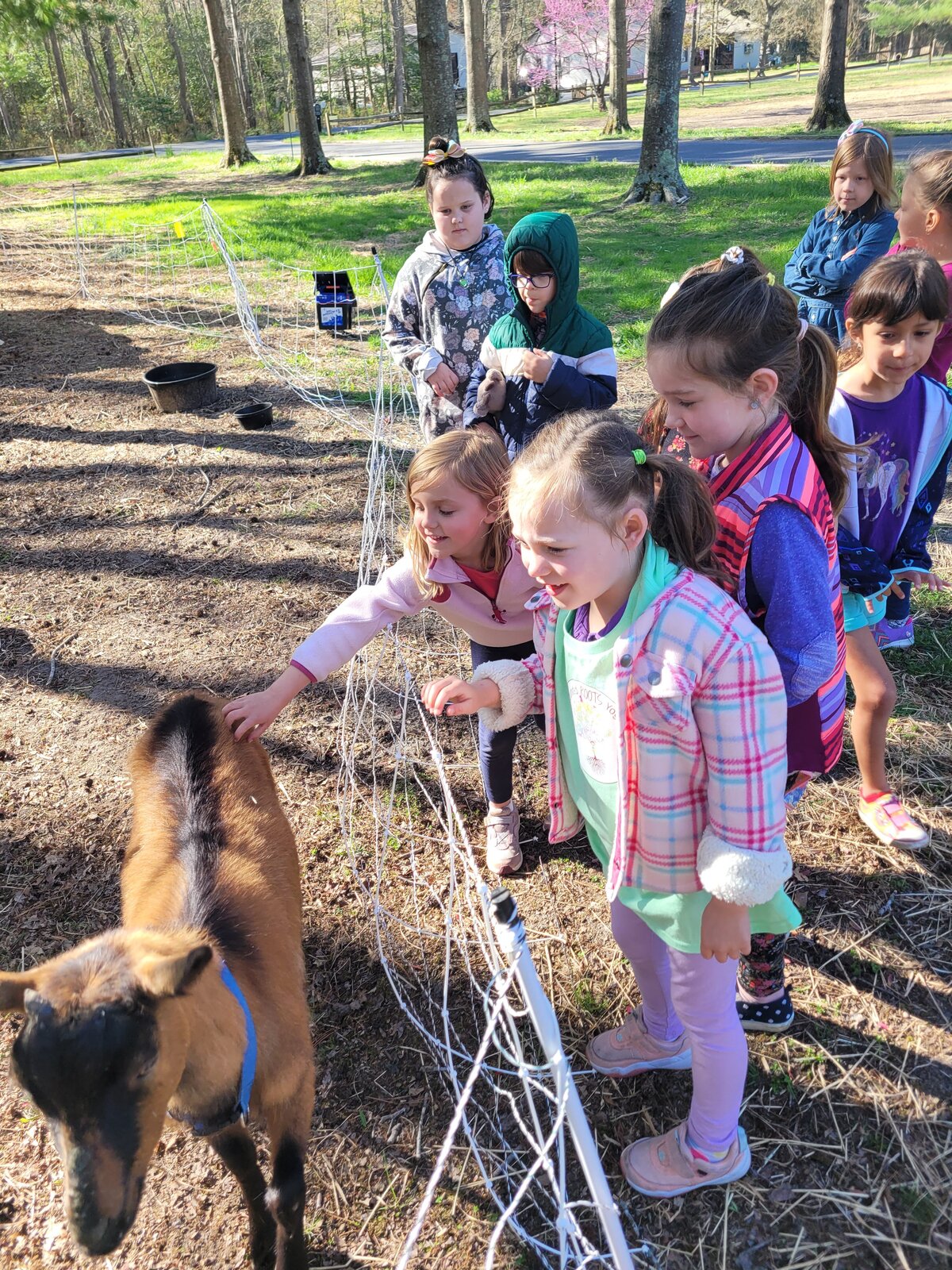 Young children meeting a goat at the ROOTS farm