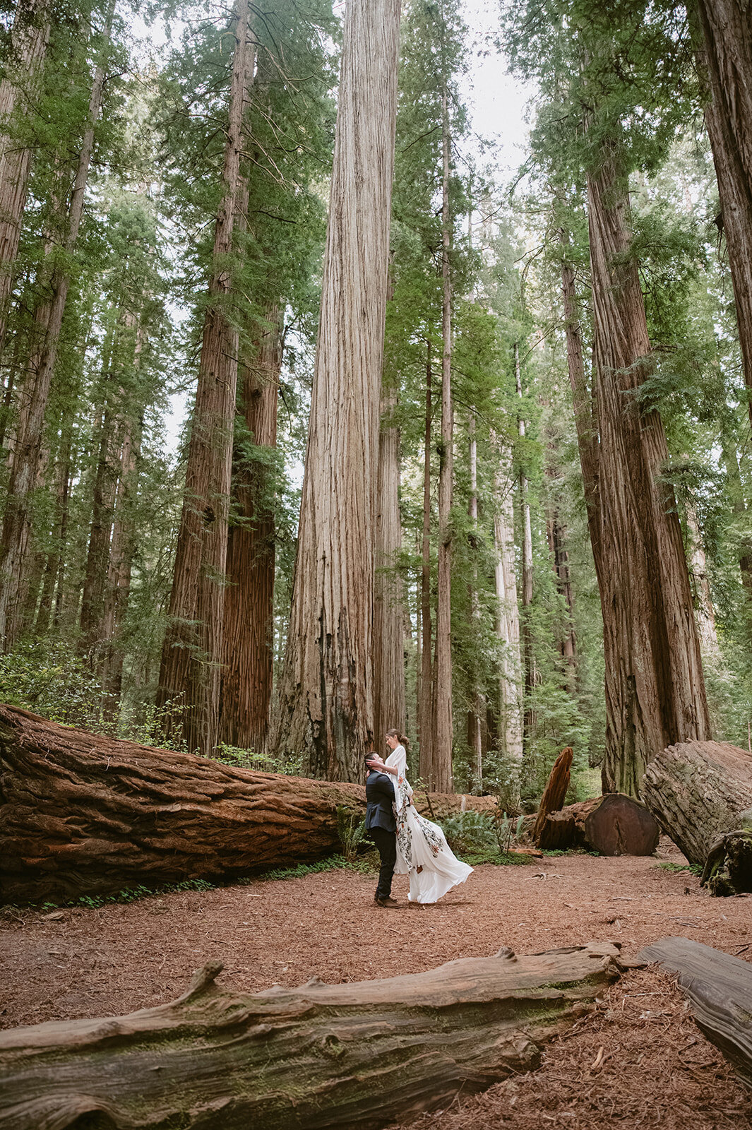 Couples walking on the redwoods