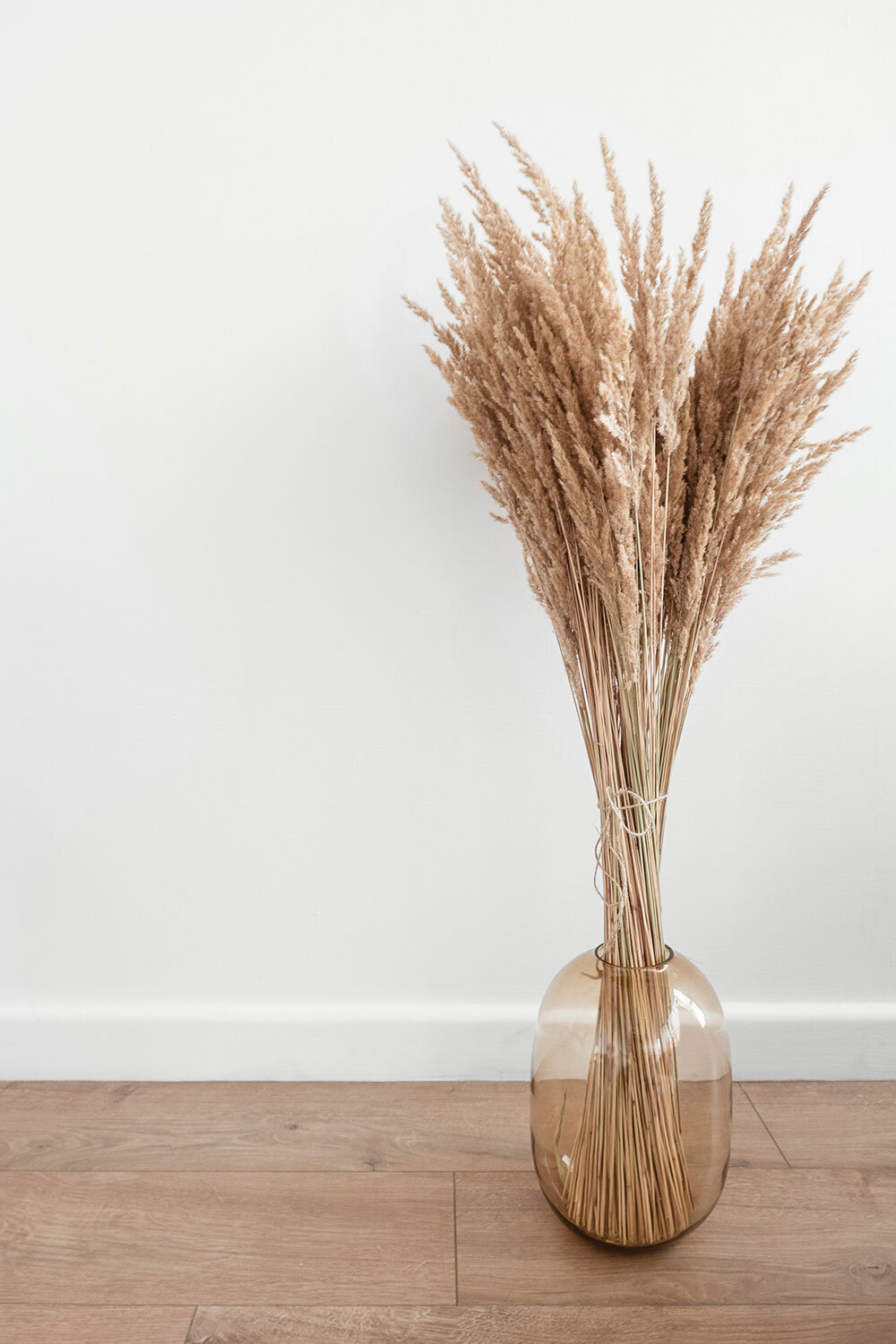 katsia-jazwinska-y-IwXNMxN_o-unsplash