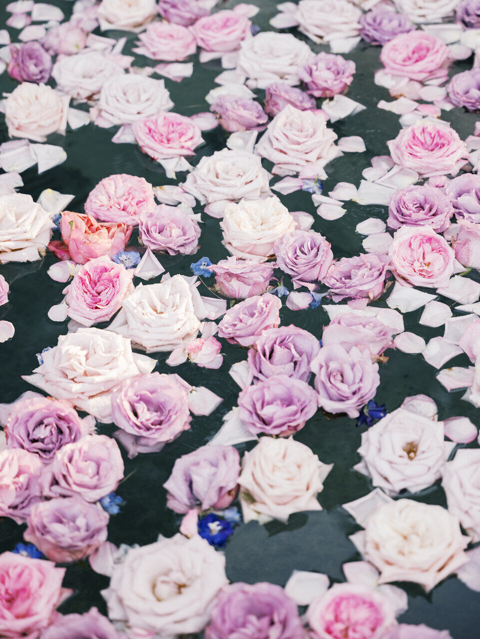 leila-brewster-photography-2000