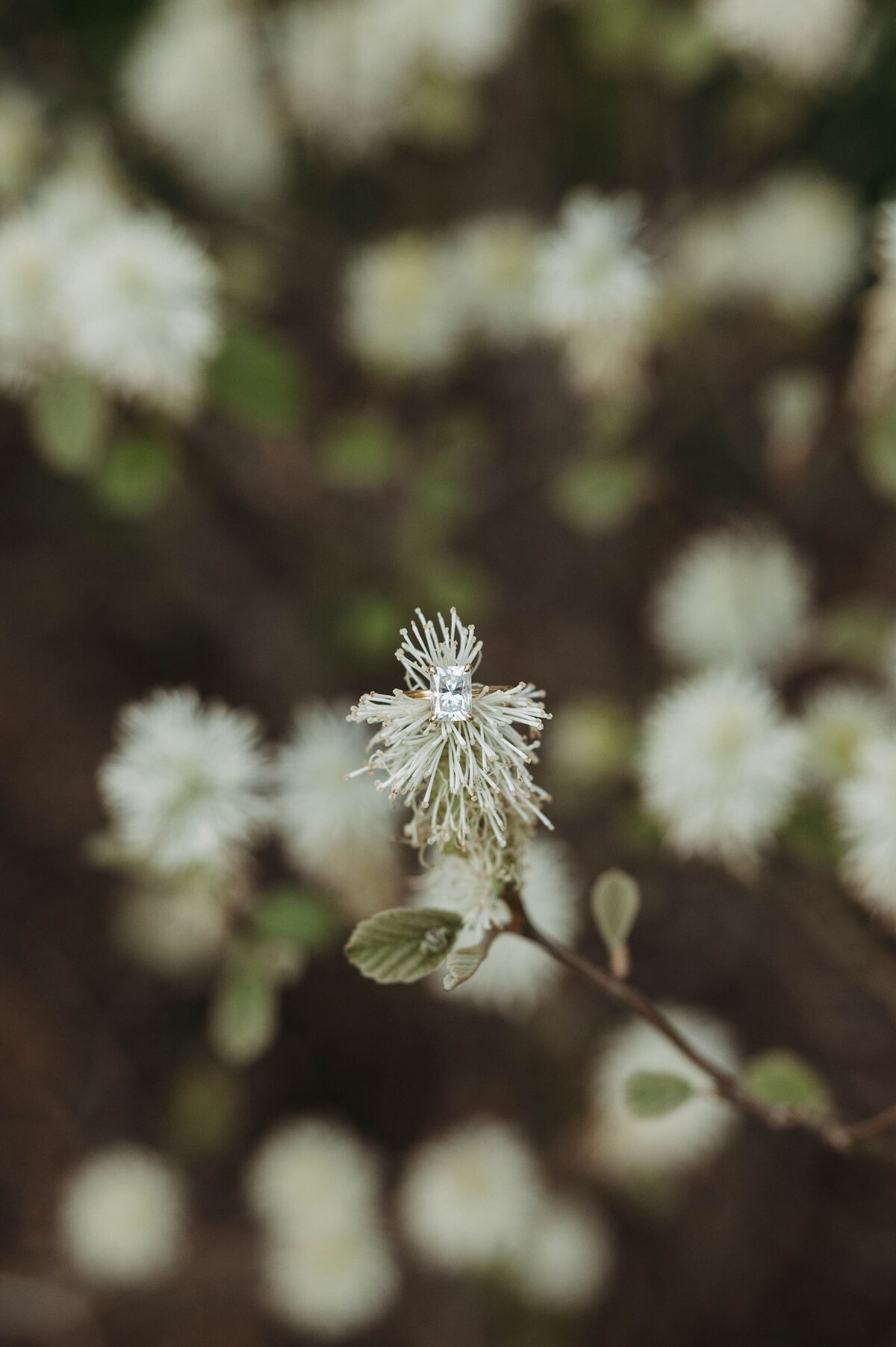 knoxville-engagement-photographer7 (41)