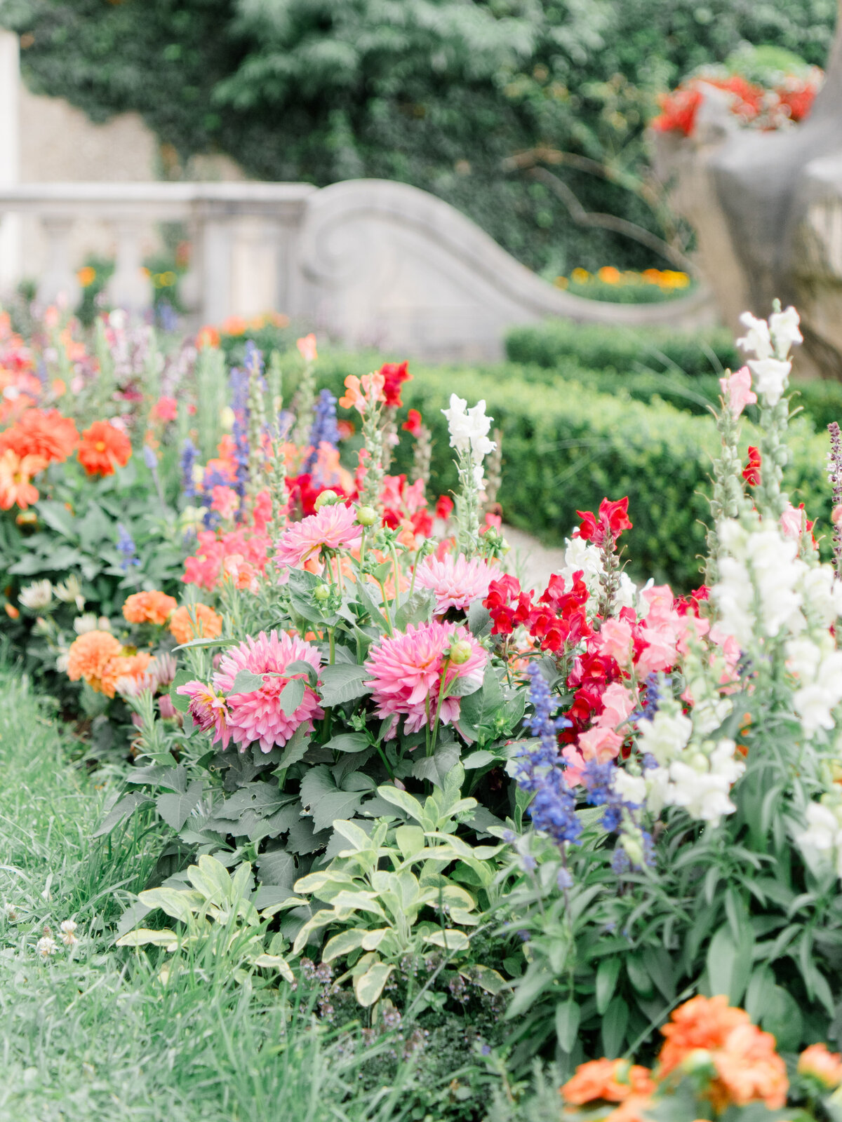 mirabellgardensflowers
