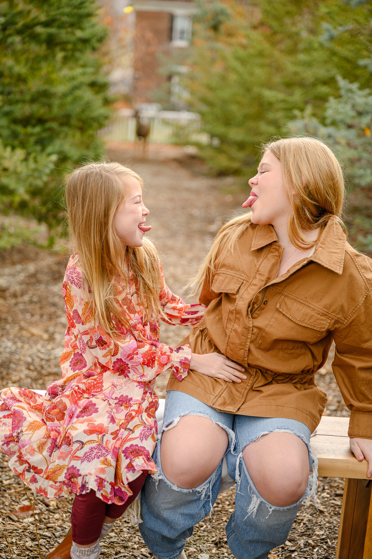 Alice Photo co Christmas family photos utah family photographer Tree Farm Utah County-2685