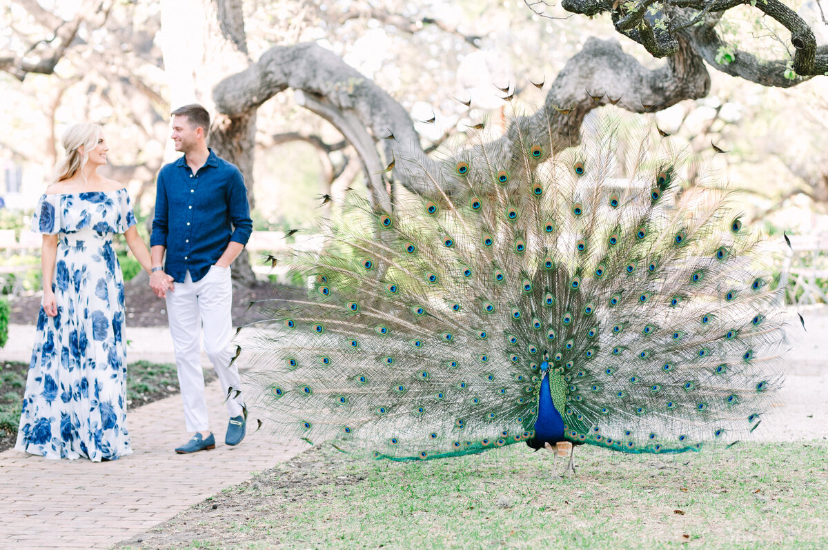 Mattie's Engagement Photos ATX-4