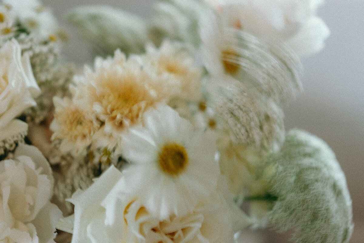 Tricia + Anjan - Goodwater Ridge Maleny-57_websize