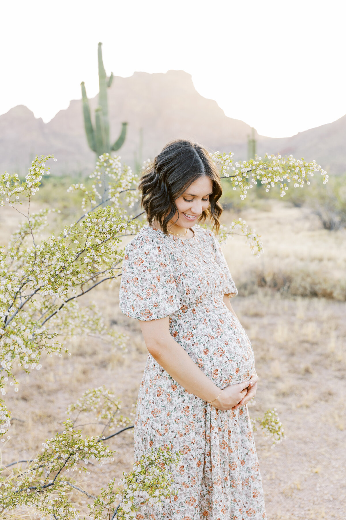 Mesa_Arizona_Maternity_Photographer-7