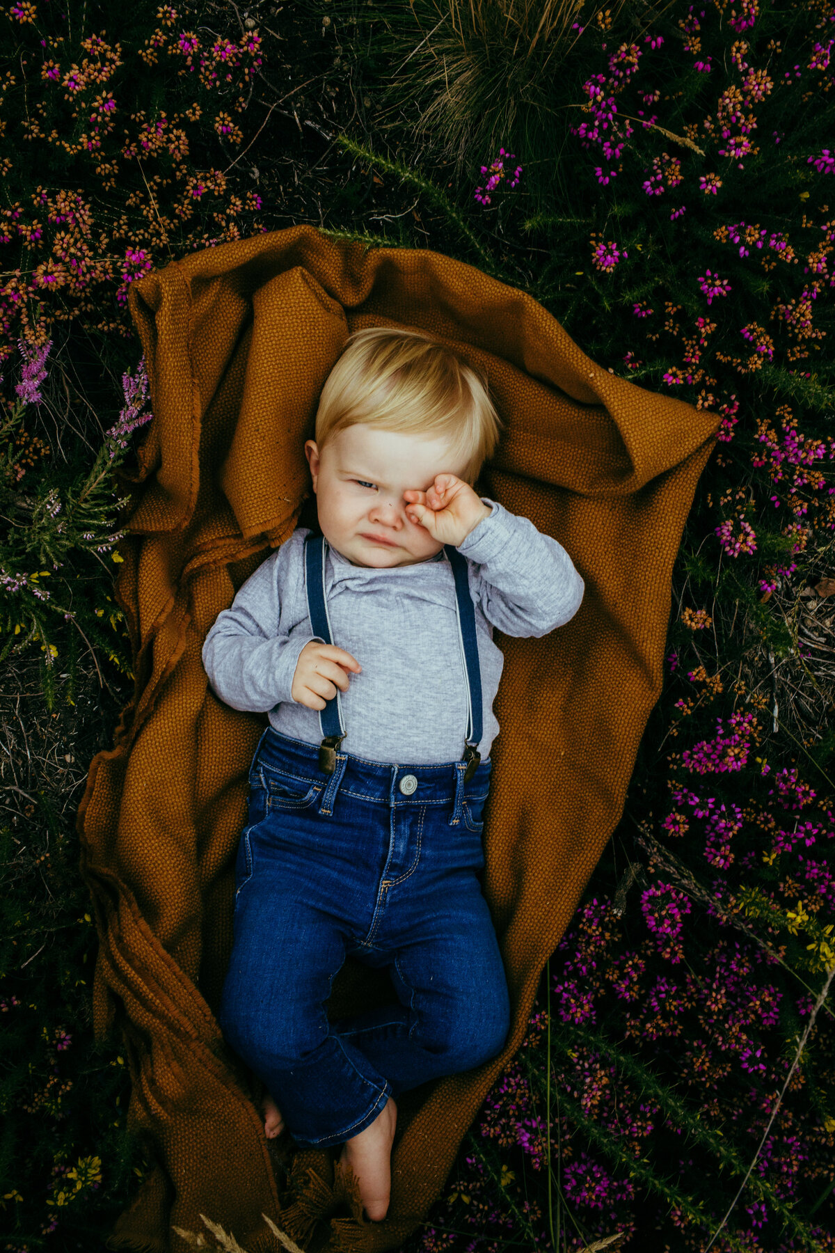 Chobham common is one of the best locations for family mini shoots, the colours of the wild plants are amazing