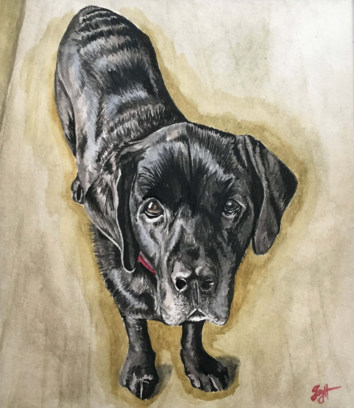 labrador-retriever-custom-watercolor-pet-portrait