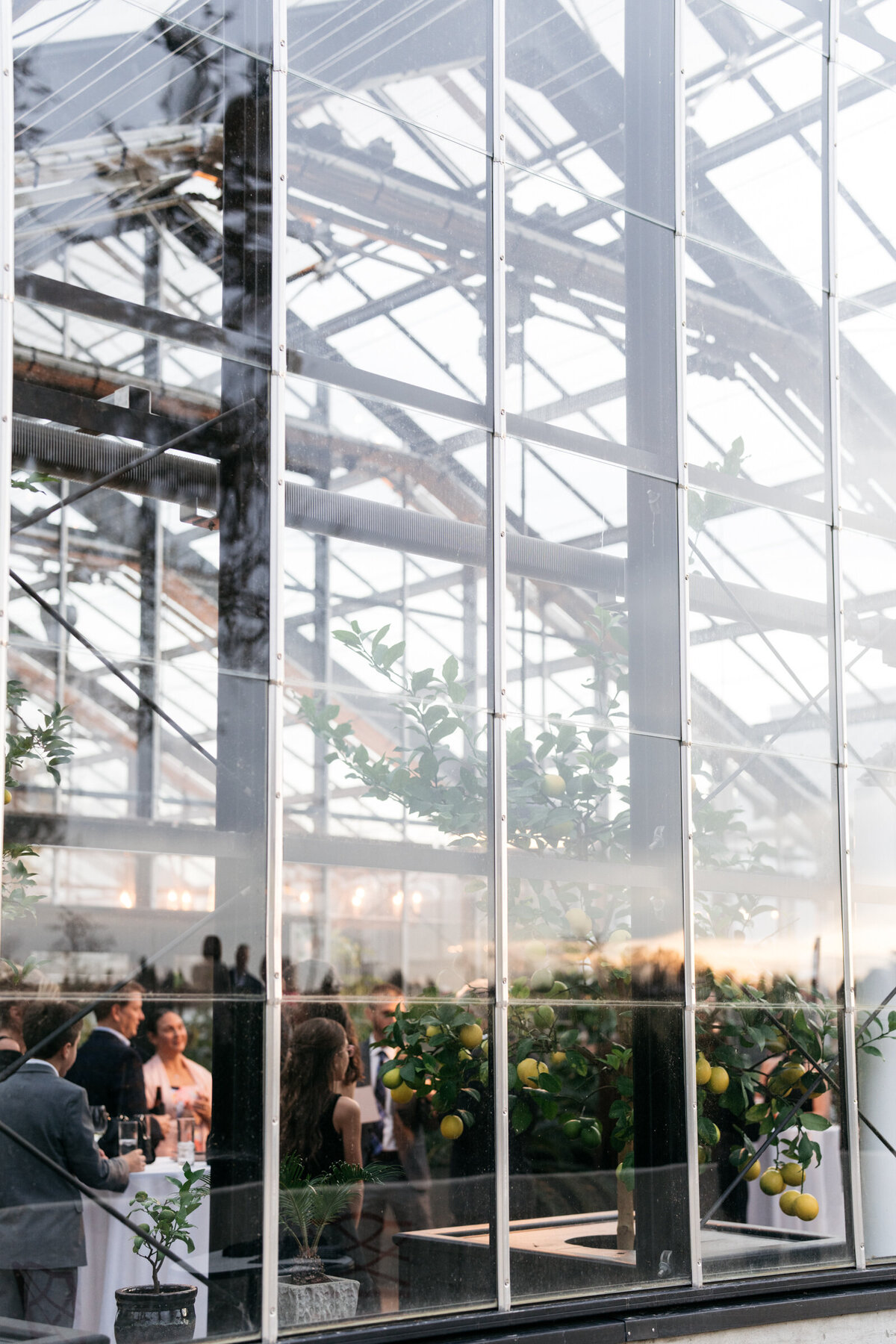 guests socializing inside a greenhouse during cocktail hour at a wedding in louisville kentucky