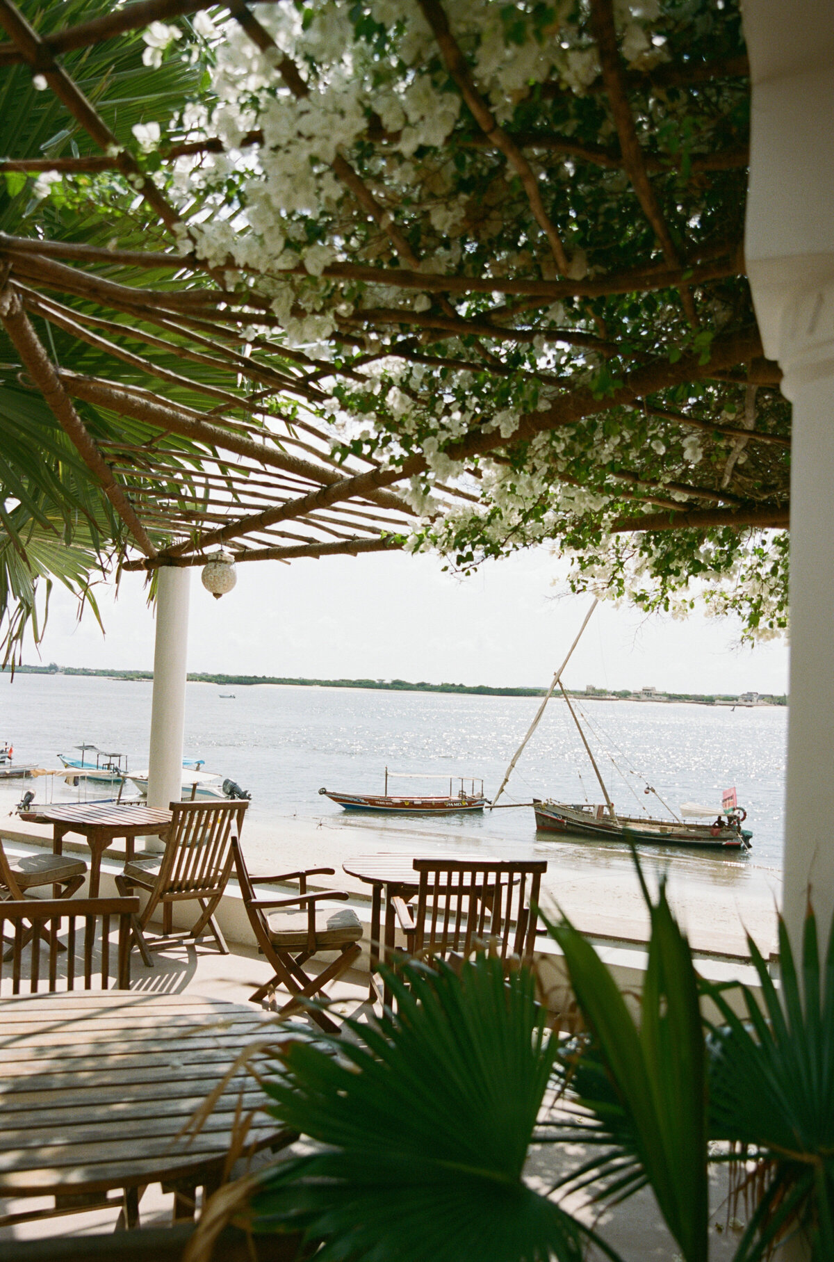 Jennylosee.com (232 of 493)