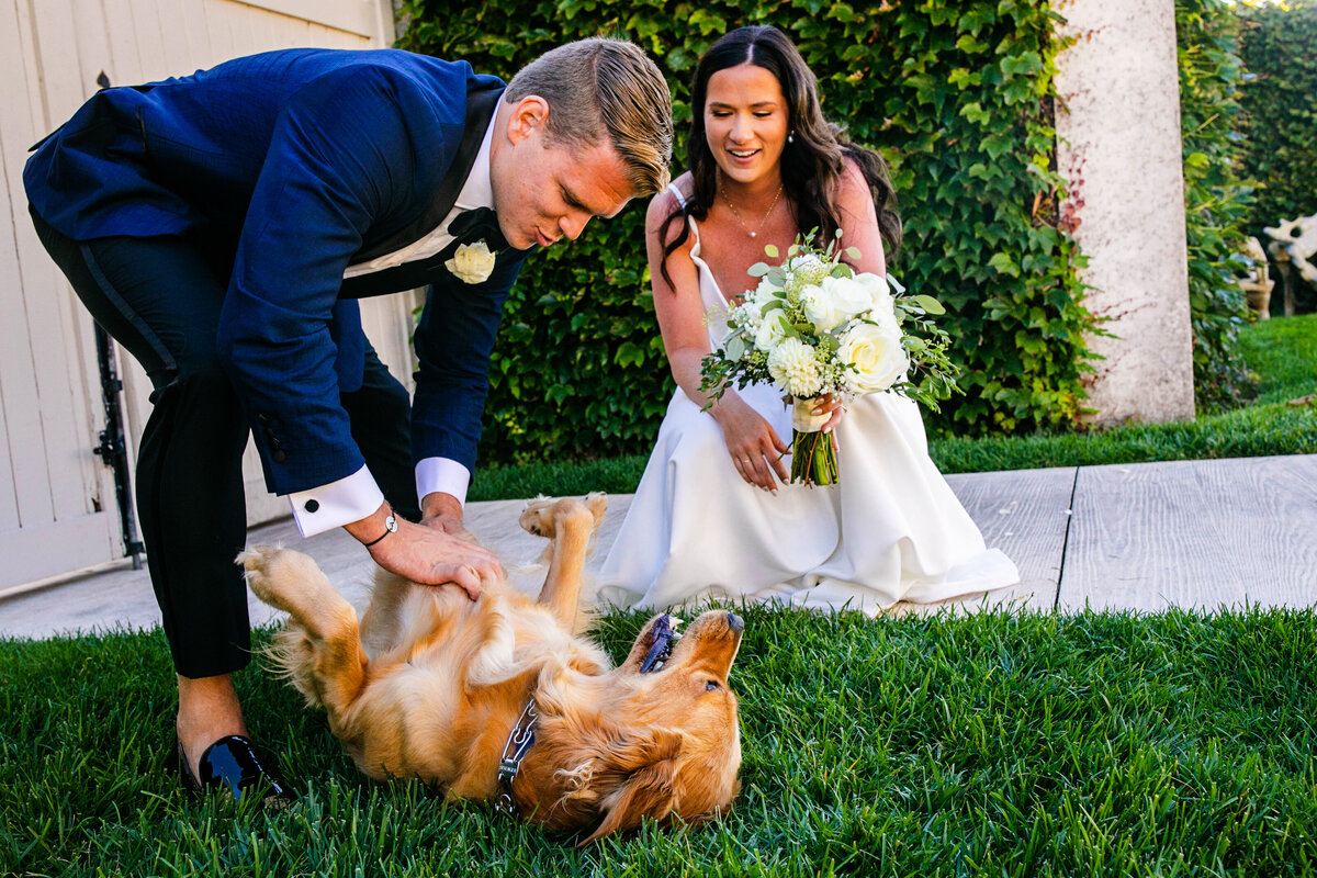 A groom pets his dog's belly while the bride looks on at Belle Mer.
