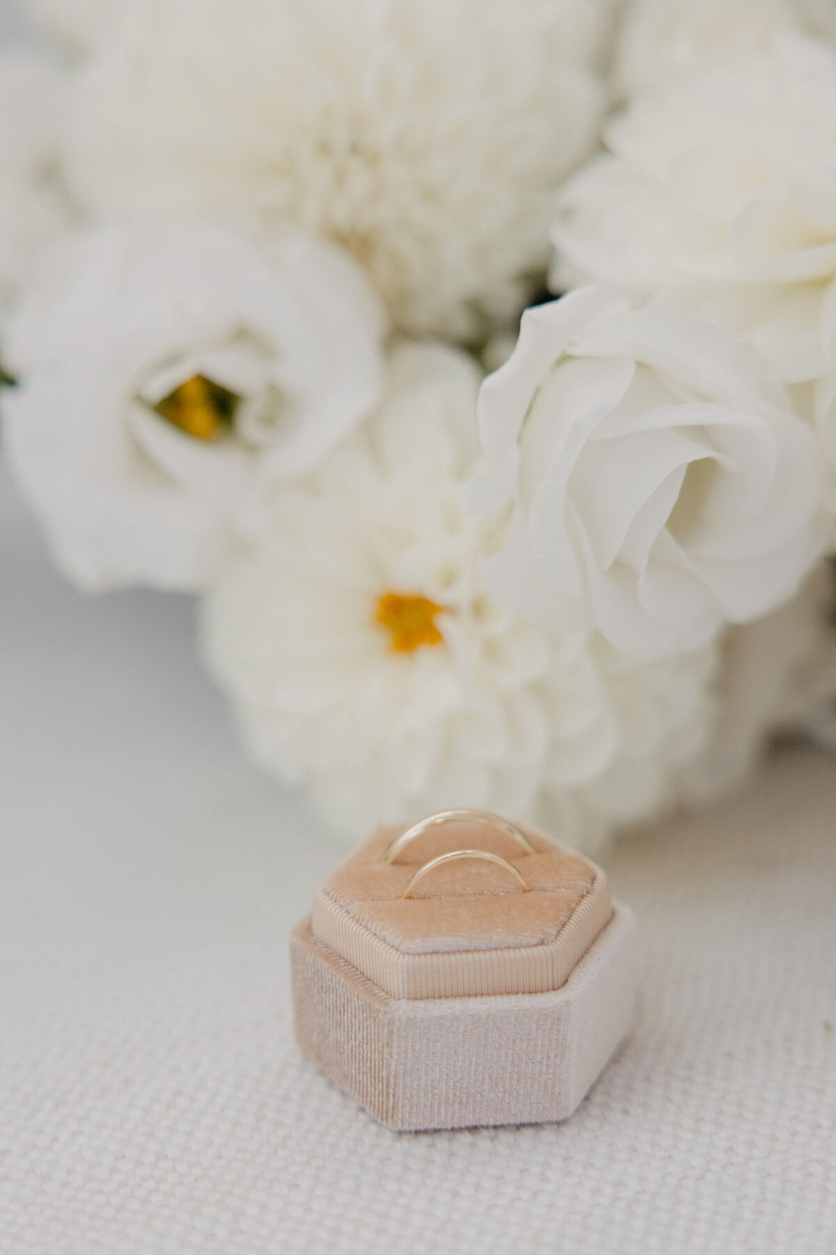Nicole_and_sam_auckland_wedding©emmalinephotography_16