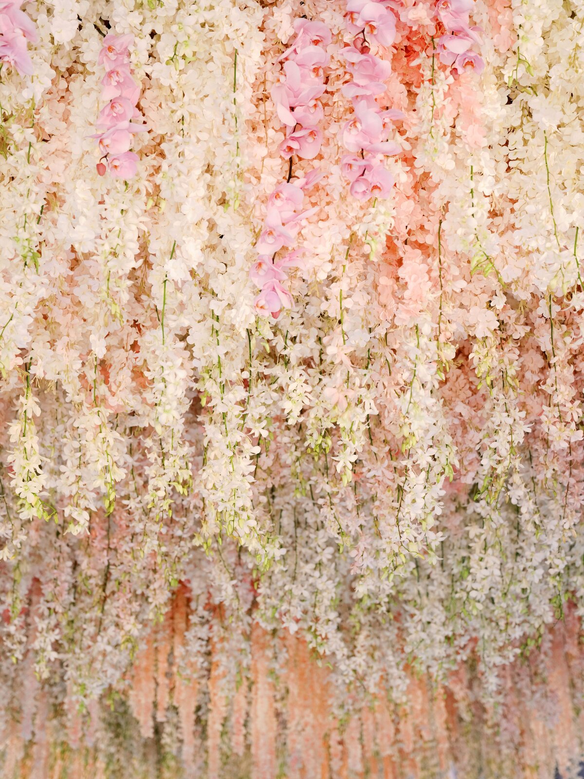 Kam and Kae - Reception Details 32