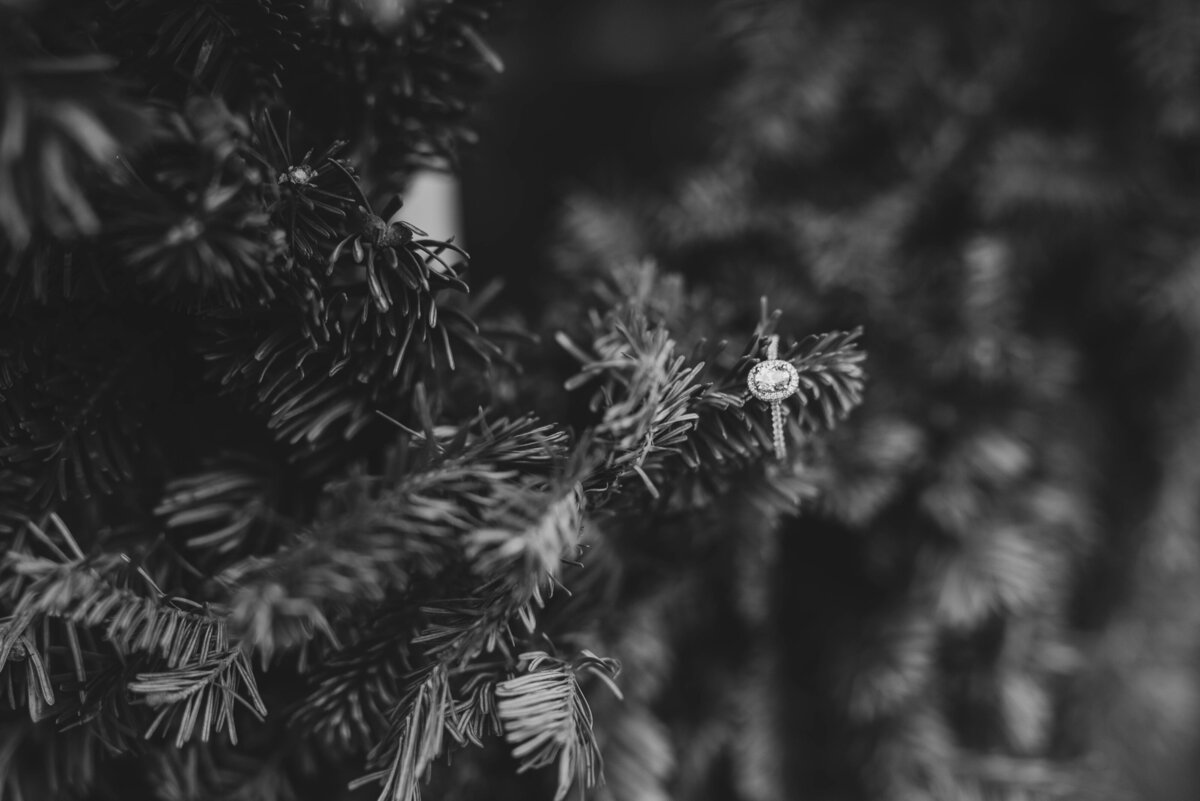 North Carolina Wedding Photographer