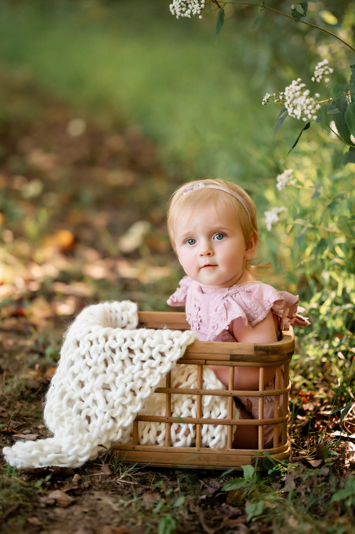 family photos beaver county