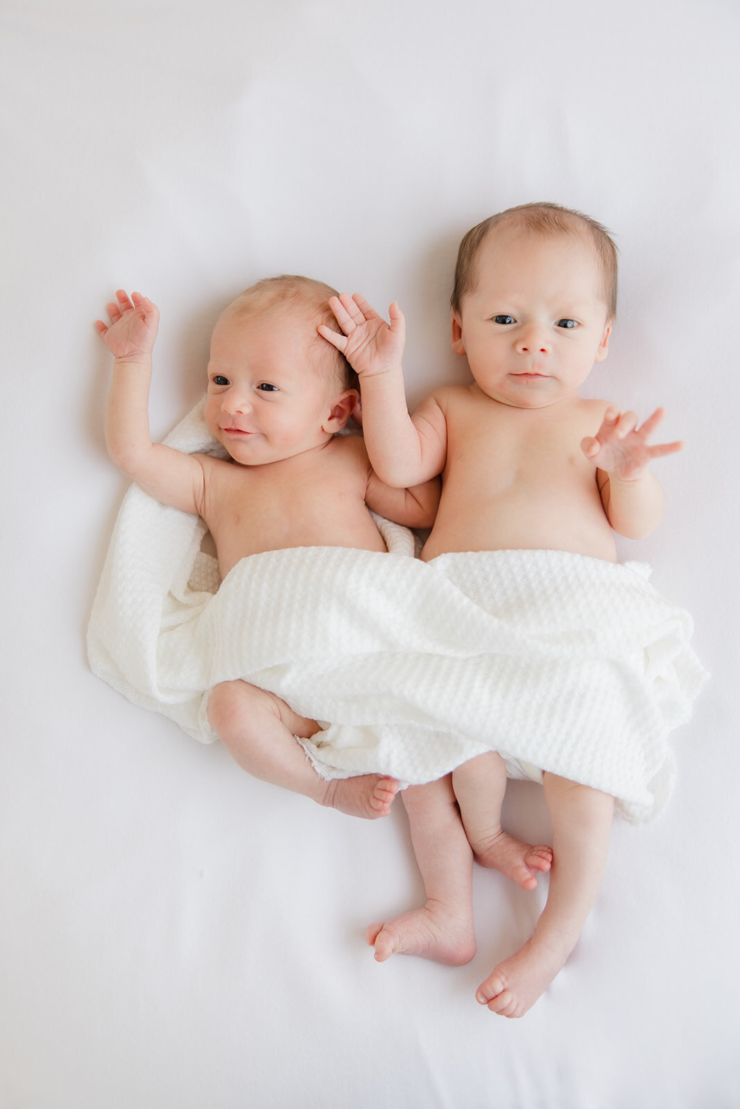 Baumgardner_Newborn_025_websize