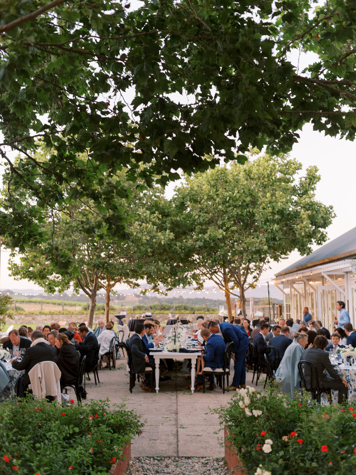 Carneros Resort Wedding Napa-181