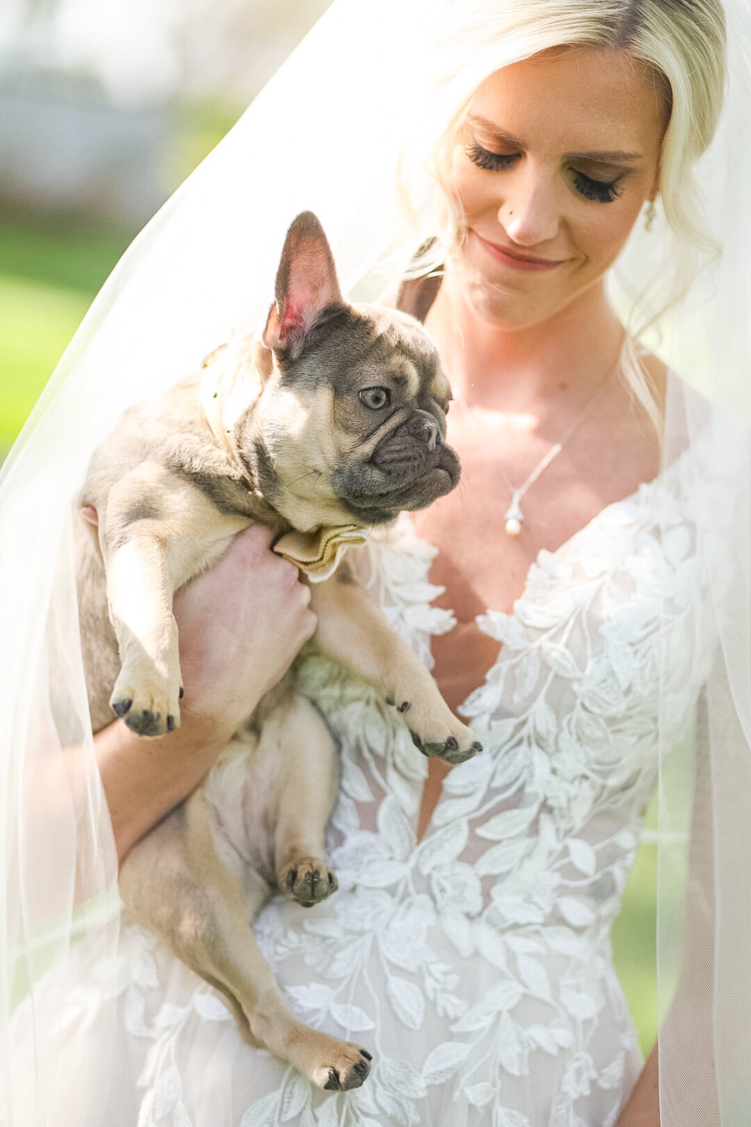 20220430-pug-Emily Kirsten-