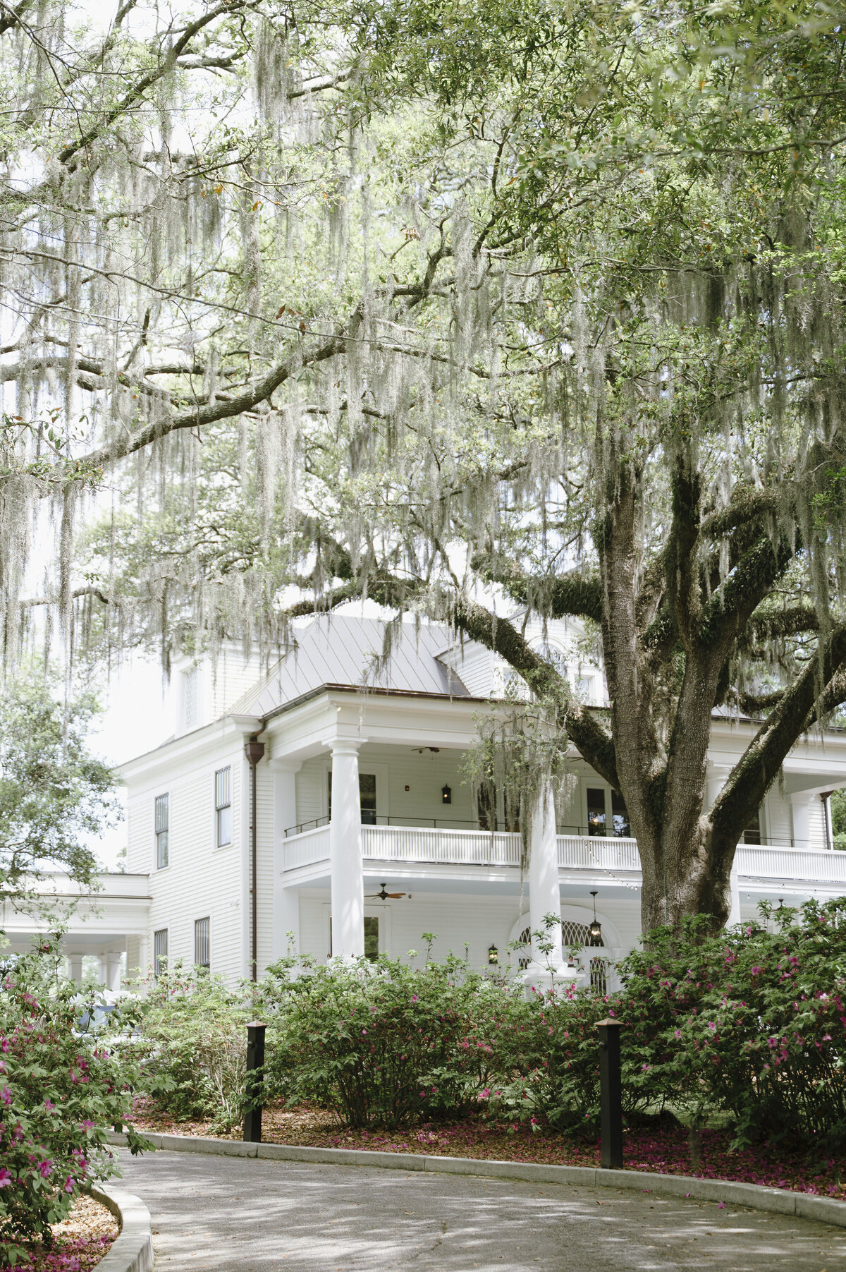 Charleston Wedding Photographer
