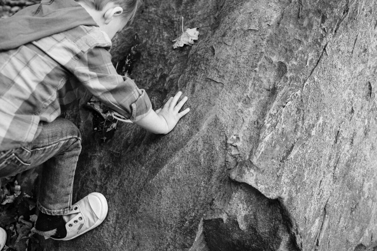 Kid climbing on rock.