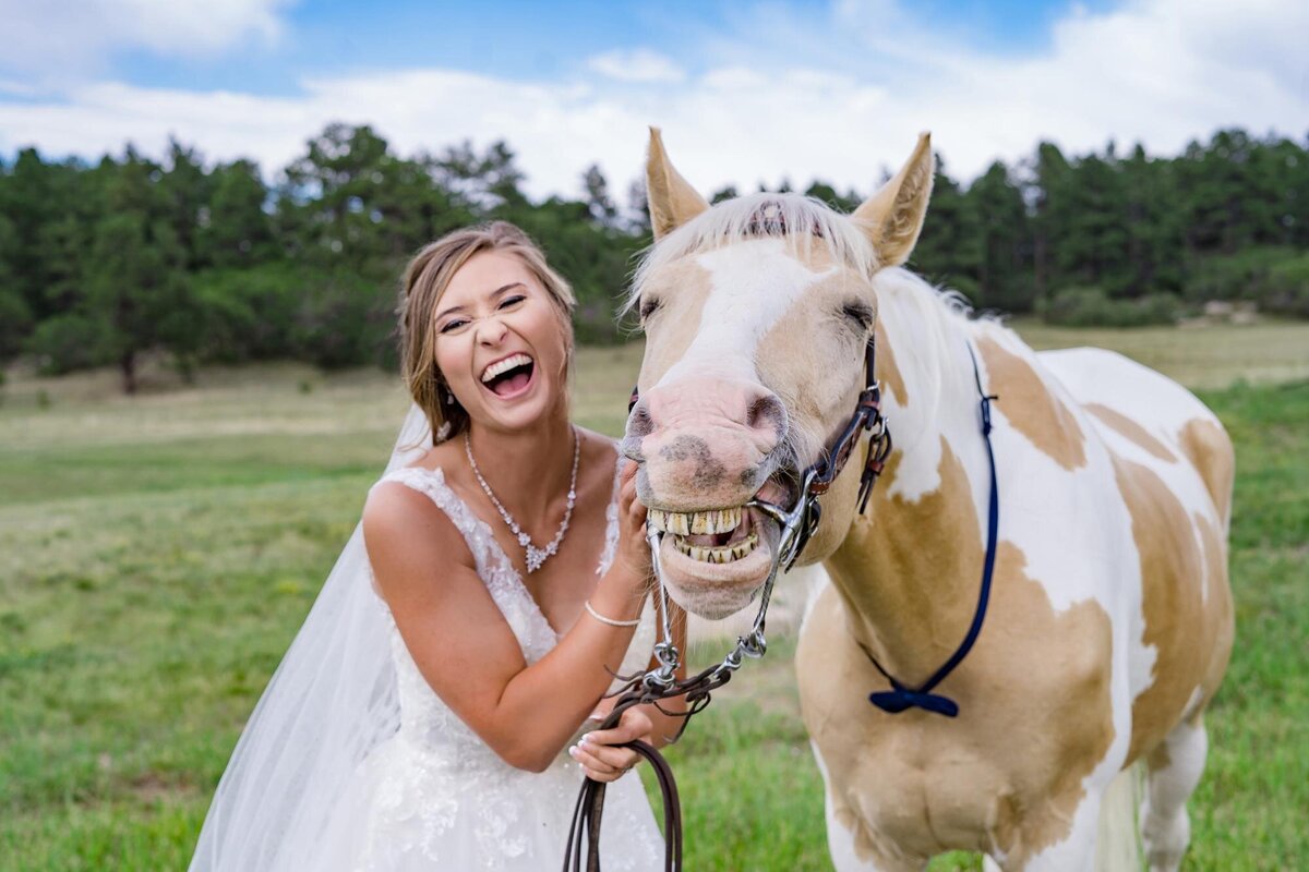 Horse at Wedding day Colorado