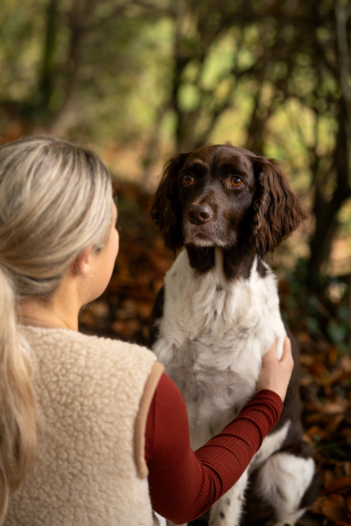 Hondenportret-Limburg-32