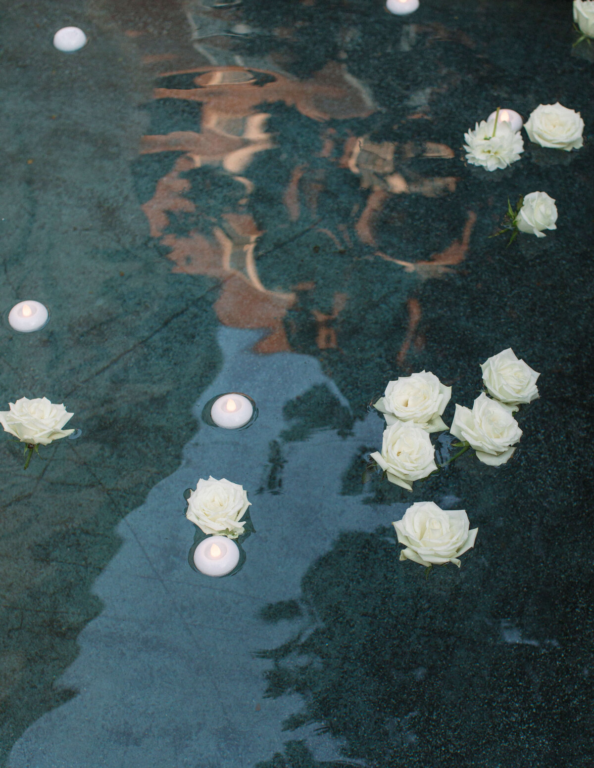 Timeless black and white wedding portrait by the water, framed by trees and reflected light