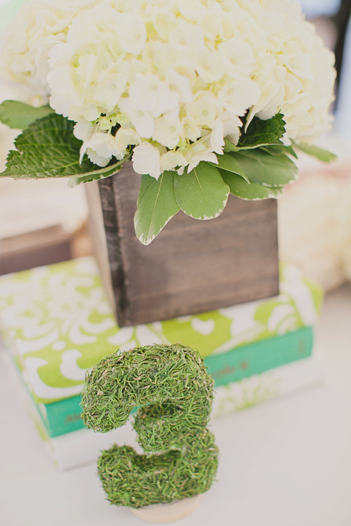 Outdoor NJ Spring Wedding White Hydrangea Centerpiece & Moss Table Number