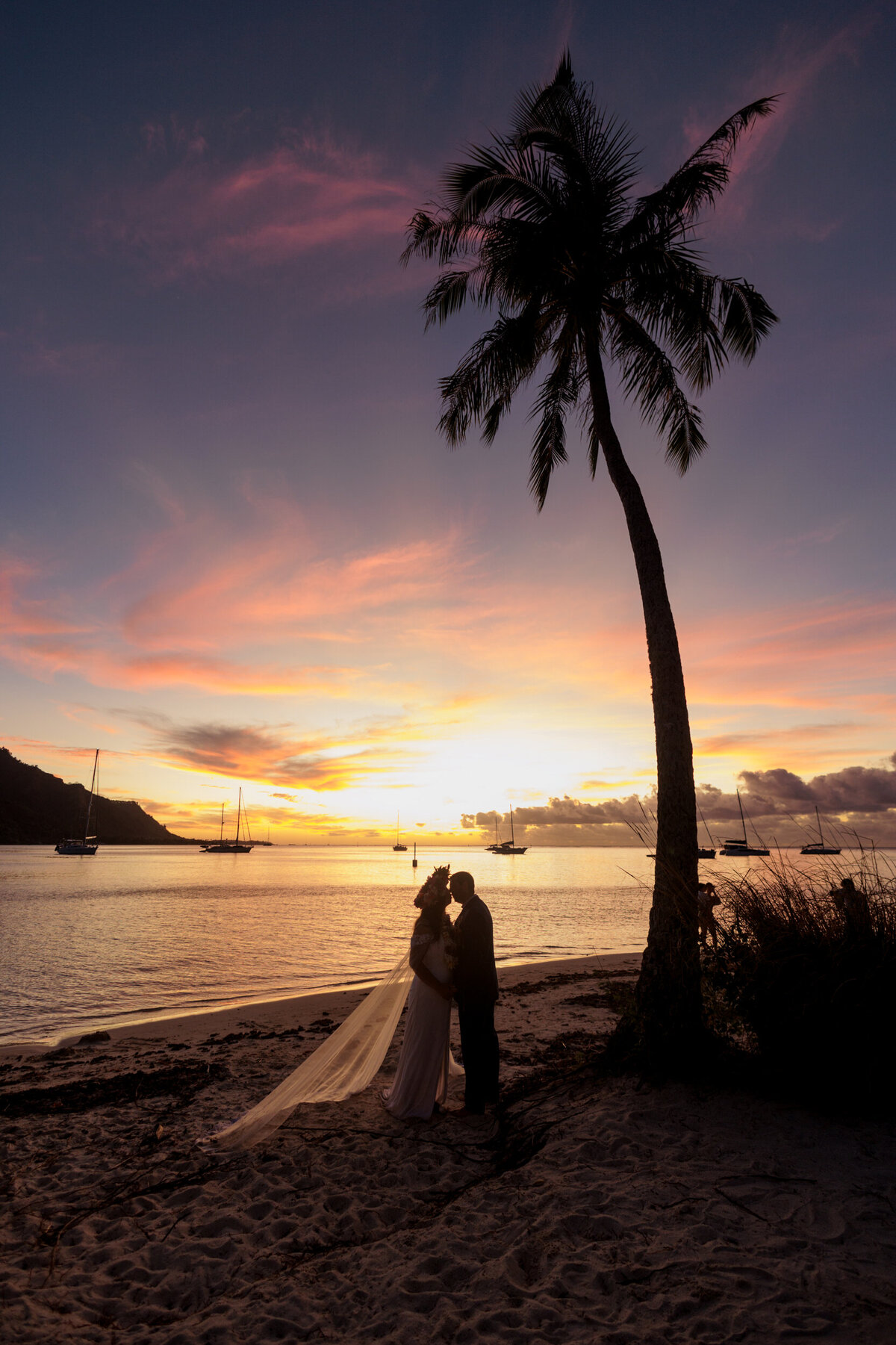 silhouette-bride-and-groom-under-palm-tree-at-sunset