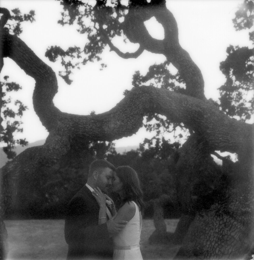 holman-ranch-wedding-shannonrosan-001-2