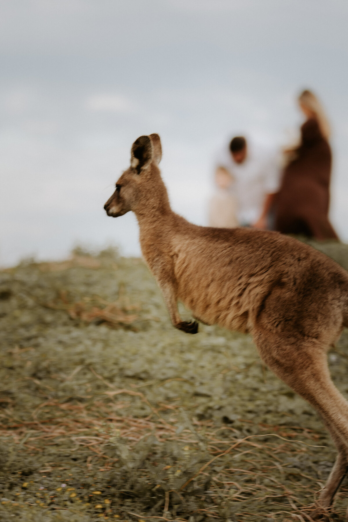 Iluka Photographer