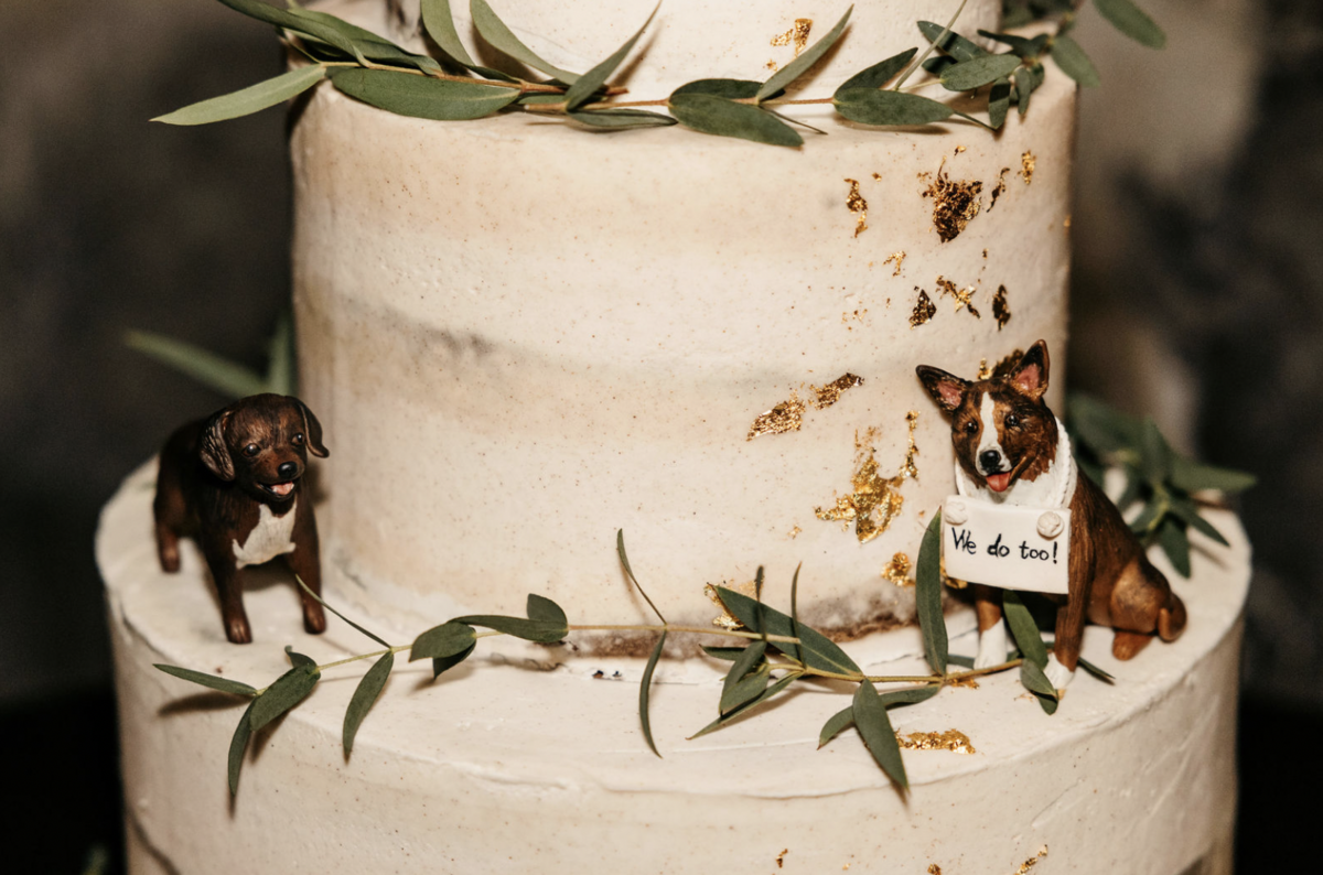 Screen Shot 2023-05-18 at 3.56.20 PM