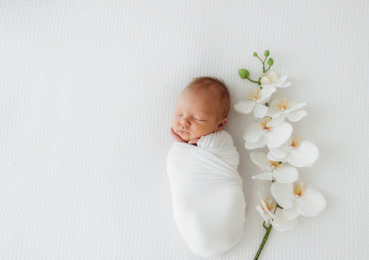 Newborn Photography Studio in Charleston, SC.